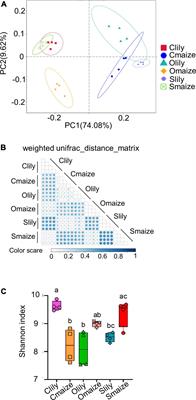 Rhizospheric microbial consortium of Lilium lancifolium Thunb. causes lily root rot under continuous cropping system